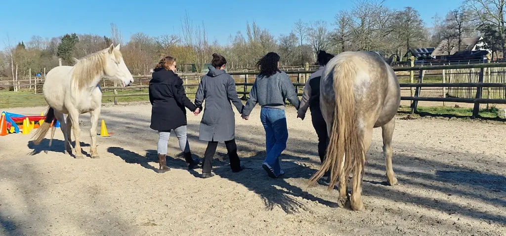 Groep in opstelling met paarden in Lieren